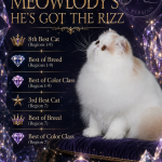 MeowlodyPersians