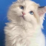 Elena