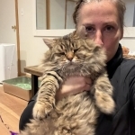 Cold Spring Siberians