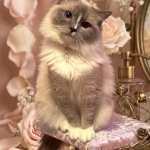 Valerie