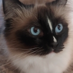 Julie