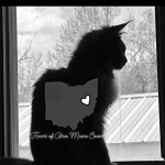 Heart Of Ohio Maine Coons