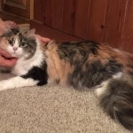 Barbara