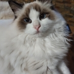 Margaret