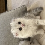 Billy
