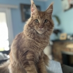Nadia