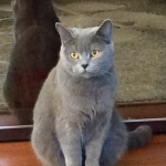Ekaterina