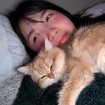 ChubbyRoyalCats