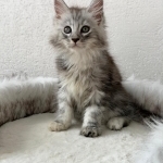 Helena