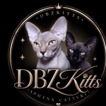 Dbzkitts