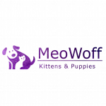 MEOWOFF