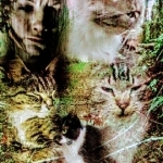 Kat Lady Ashs