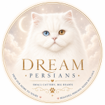 Dream Persian