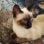 Audrey