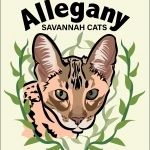 Allegany Savannah Cats