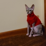 Brenda