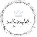 Lovelly Ragdolls