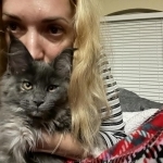 SapphireCattery