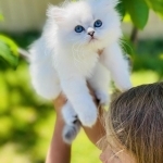 Oksana