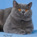 Ludmila