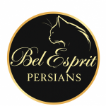 Bel Esprit