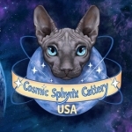 Cosmic Sphynx Cattery