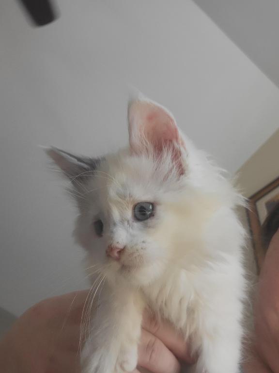Elsa photo 3