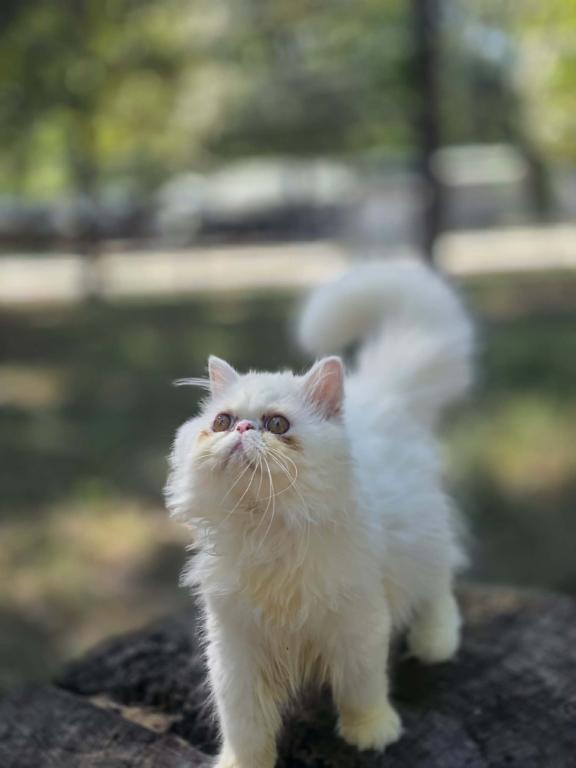 Sugar's Splash photo 5