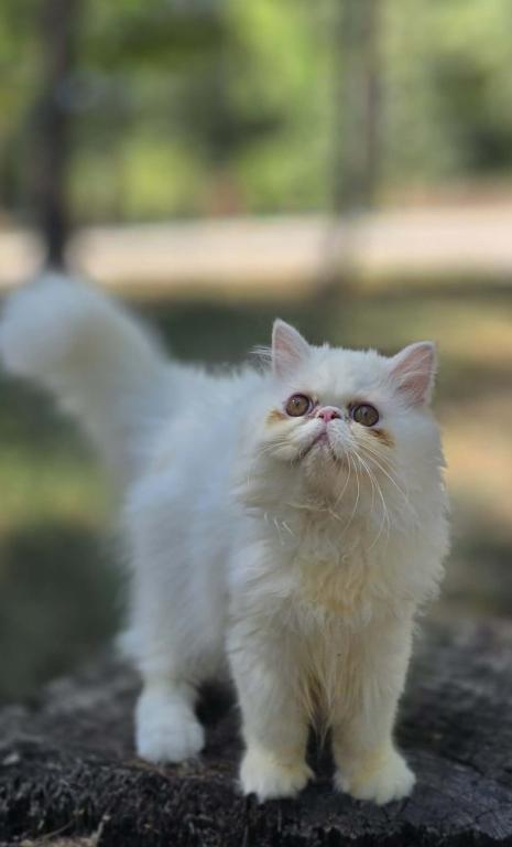 Sugar's Splash photo 9