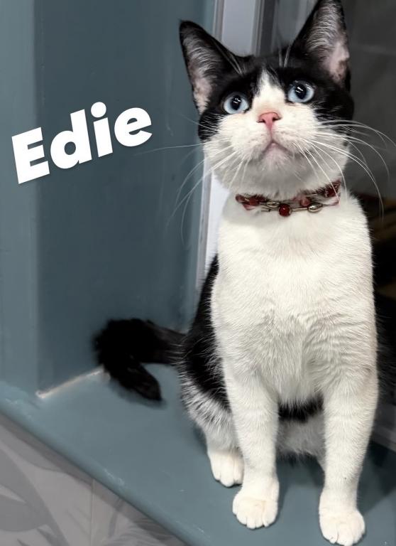 Edie photo 2