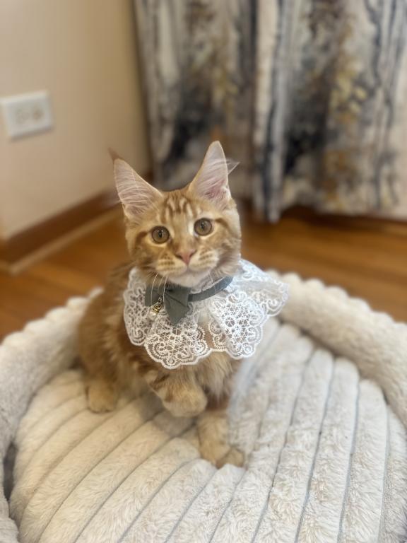 Milana