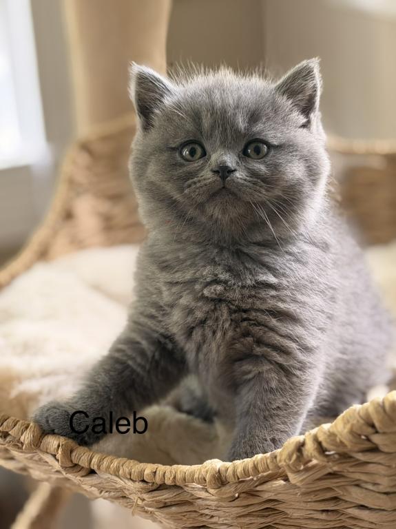 Caleb photo 2