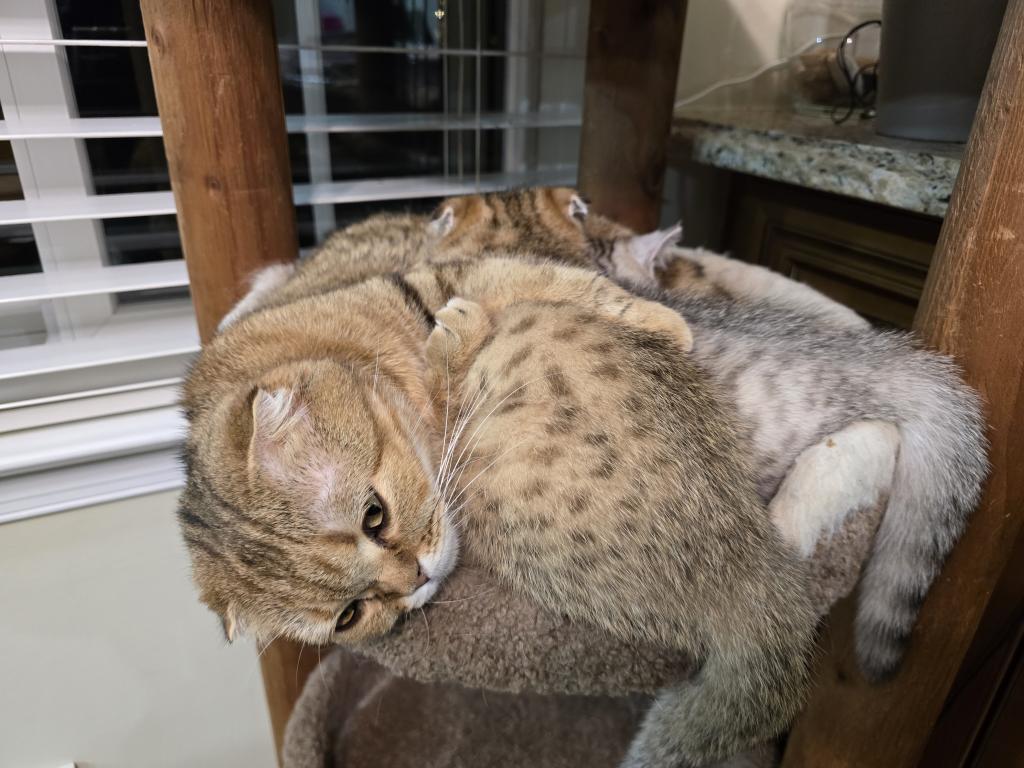 Max2 photo 6