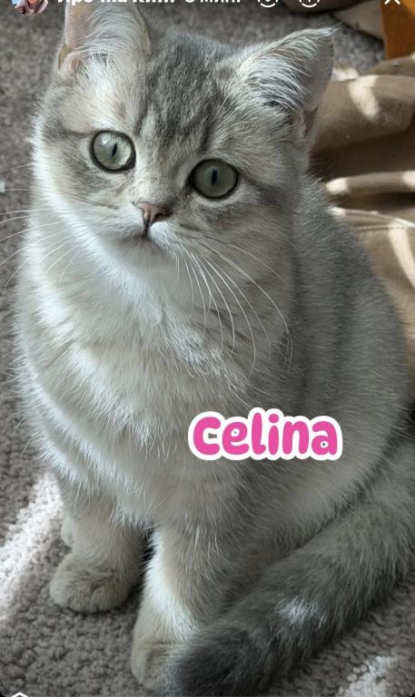 Celina photo 13
