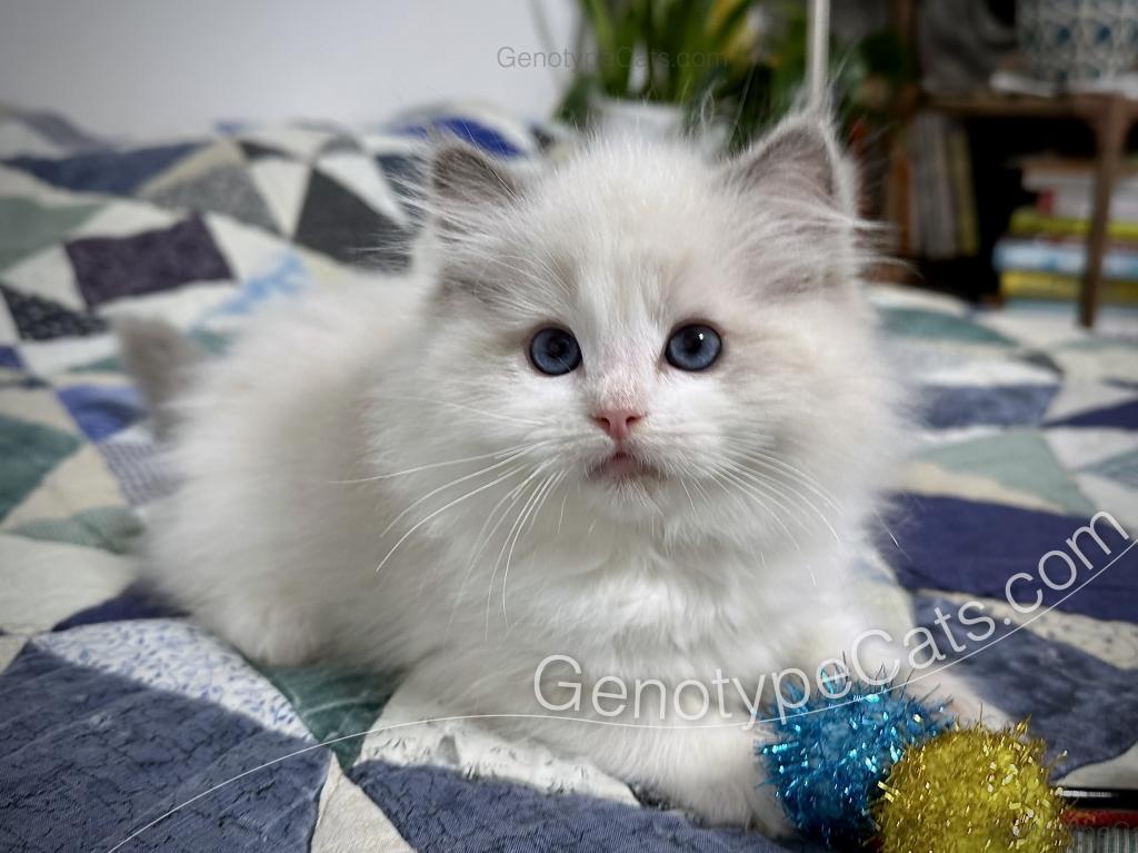 Edgar photo 25