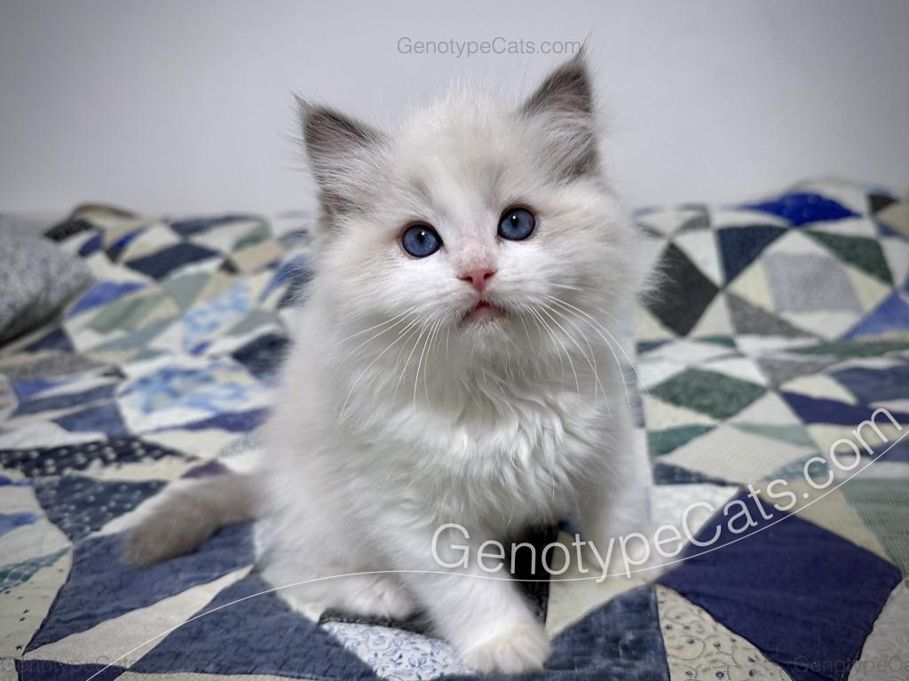 Edgar photo 2