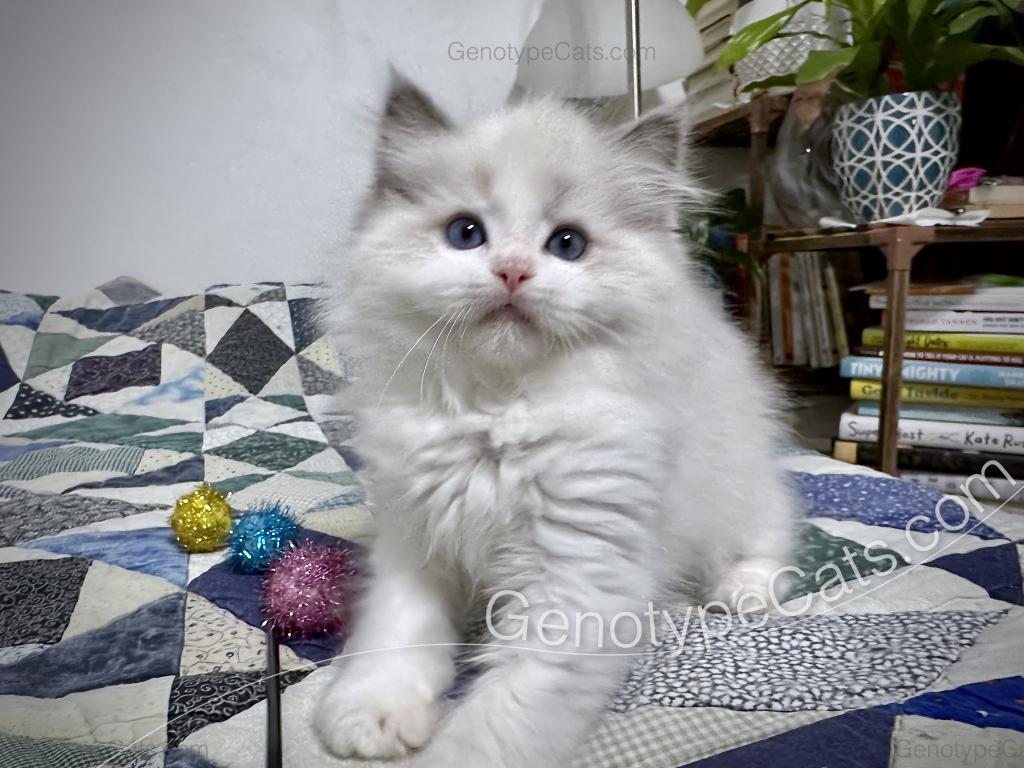 Edgar photo 16