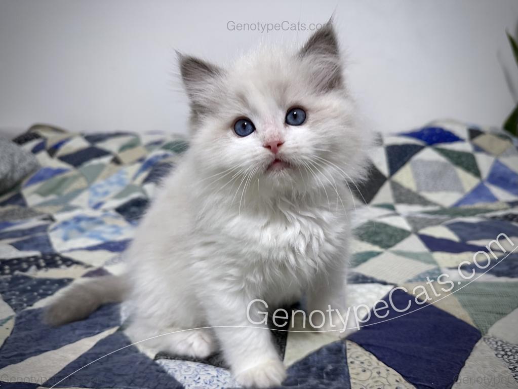 Edgar photo 3