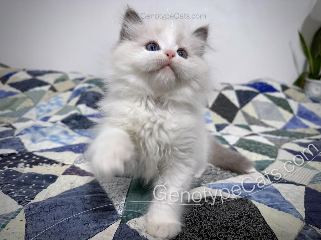 Edgar photo 13