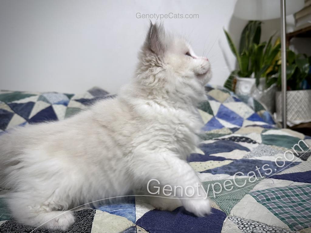 Edgar photo 9