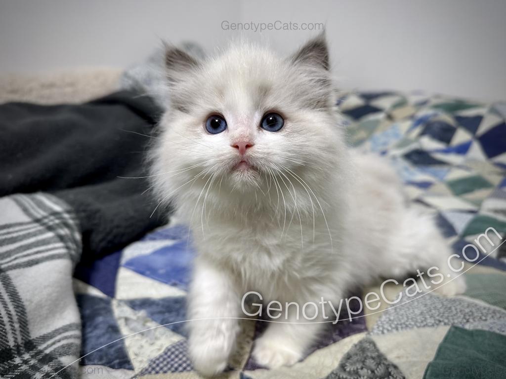 Edgar photo 29