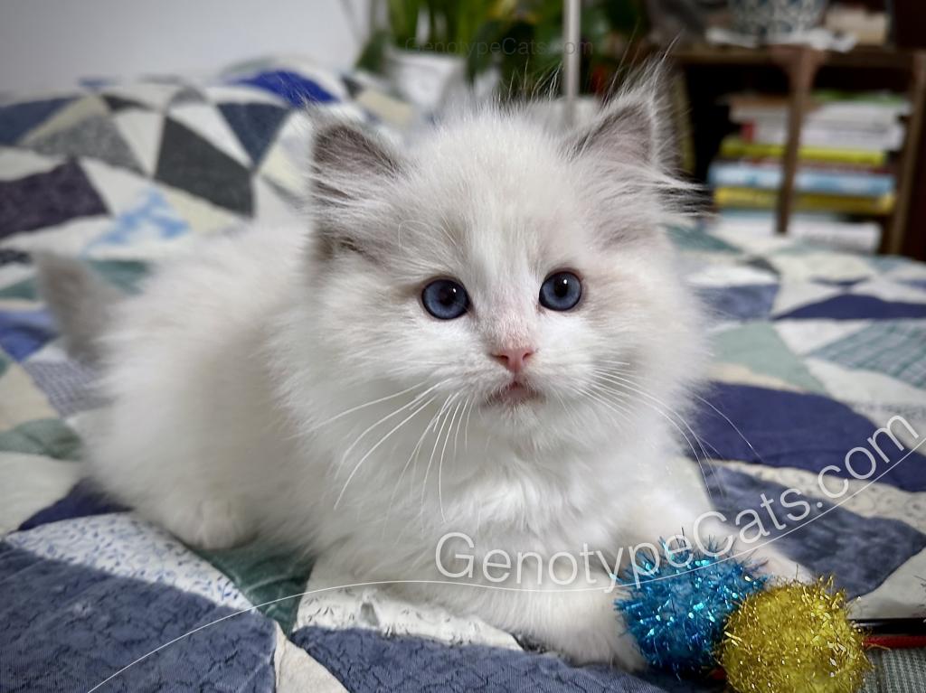 Edgar photo 24
