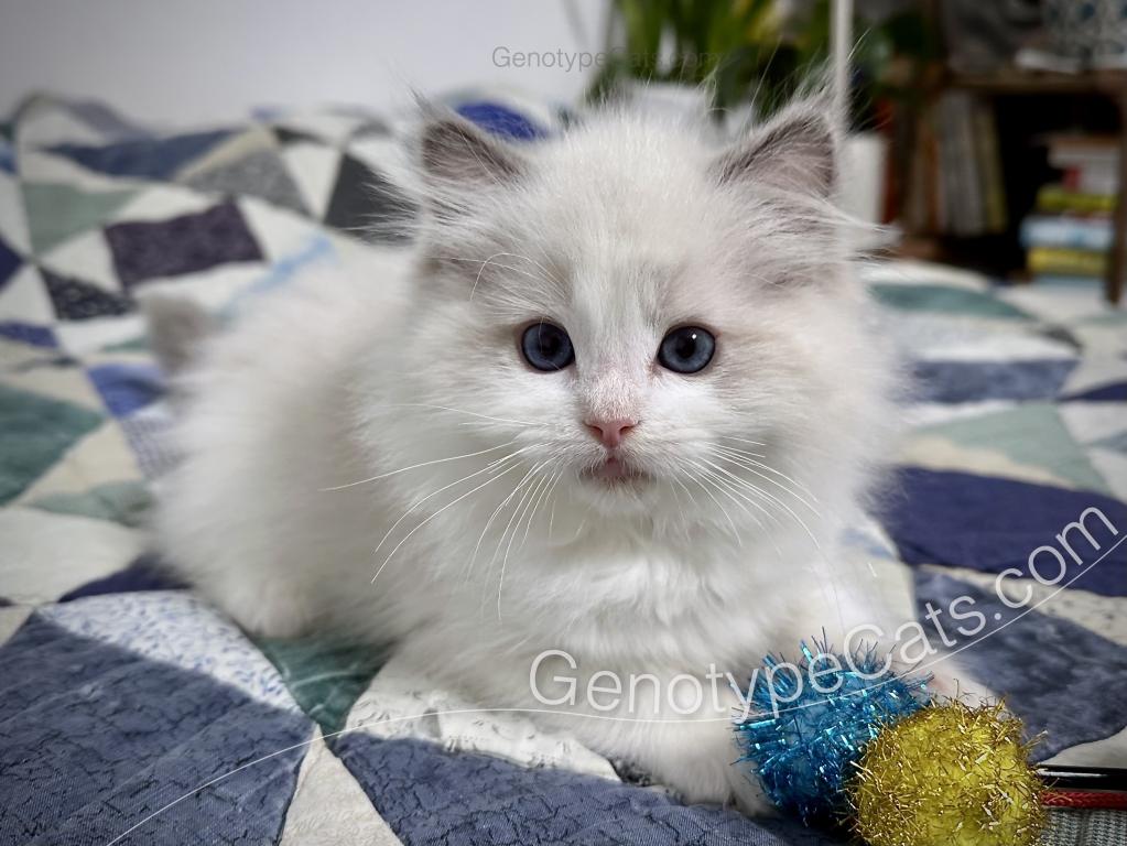 Edgar photo 26