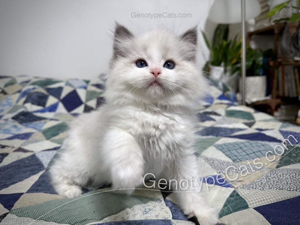 Edgar photo 22