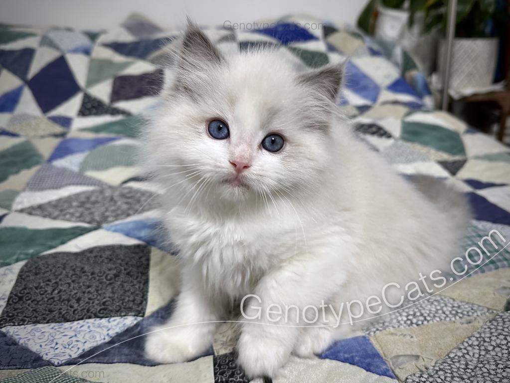 Edgar photo 19