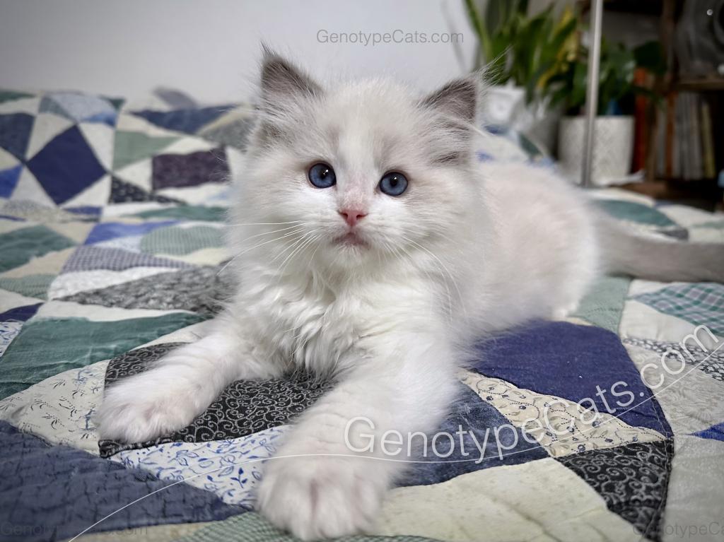 Edgar photo 5