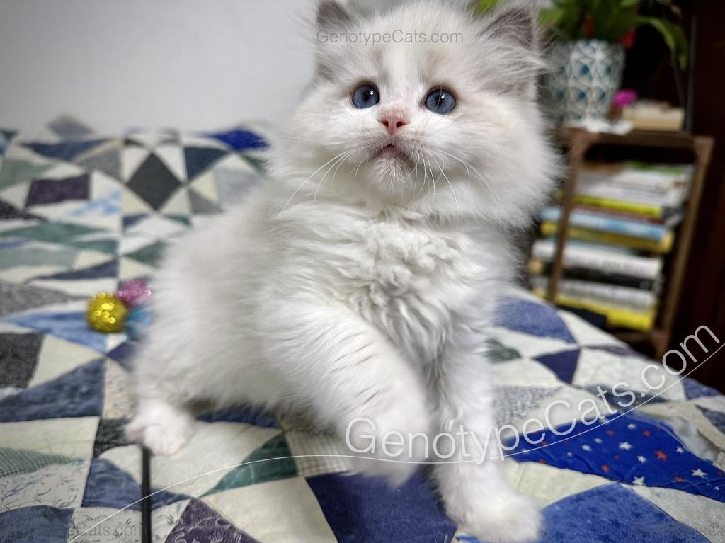 Edgar photo 18