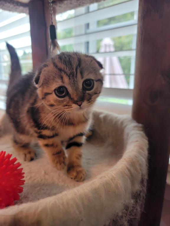 Barbara photo 23