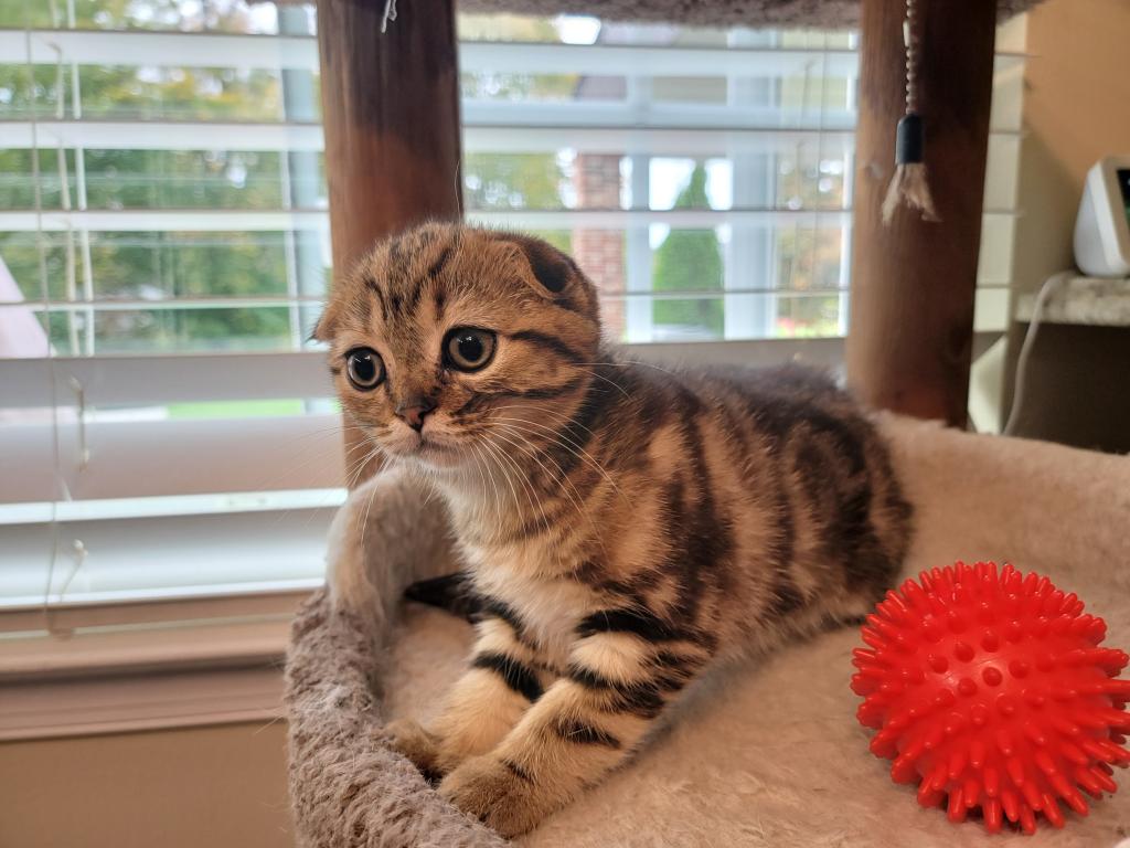 Barbara photo 17