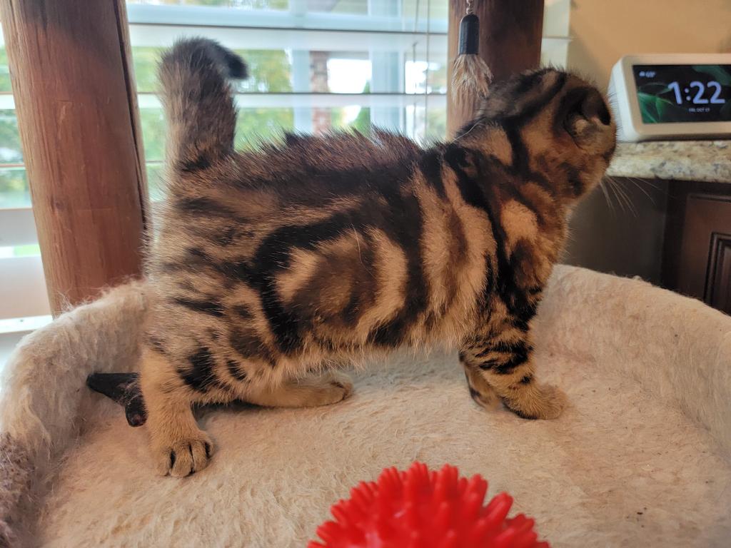 Barbara photo 25